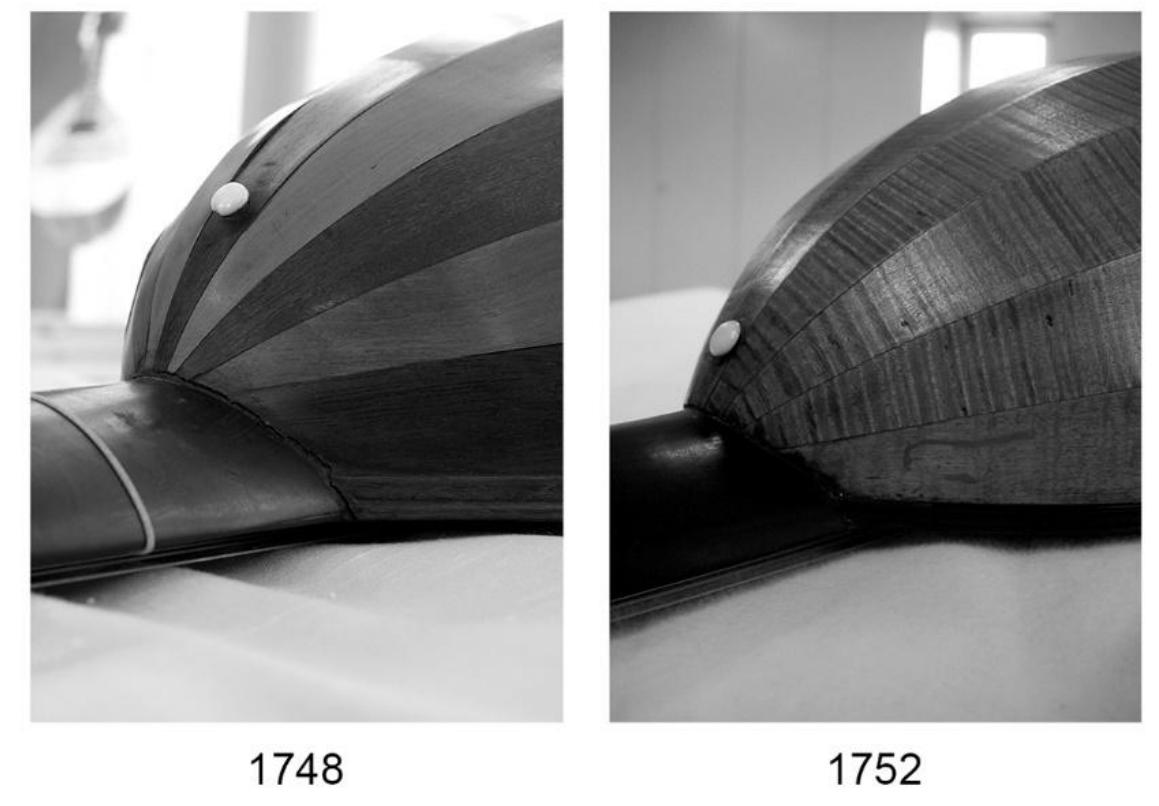 (PDF) Defining an 18th century lute, the Mandora & Calichon: an ...
