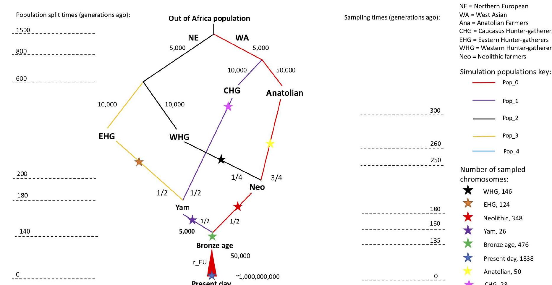 A schematic of the model of population structure in europe,