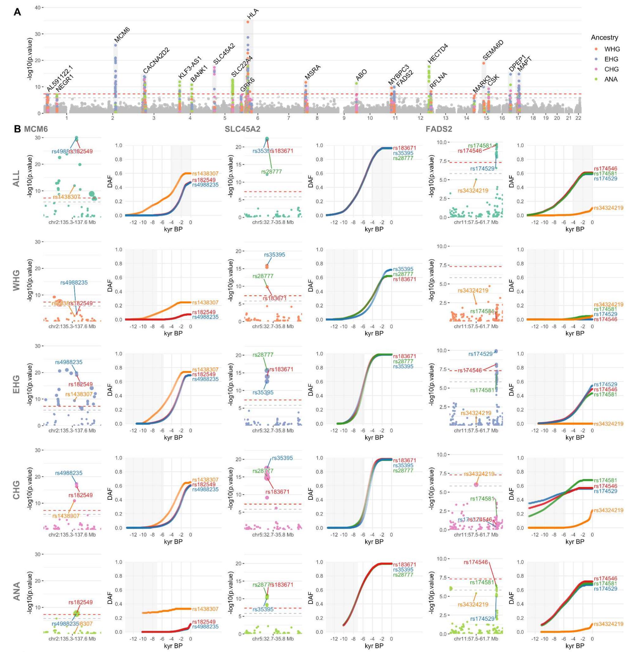 A schematic of the model of population structure in europe,