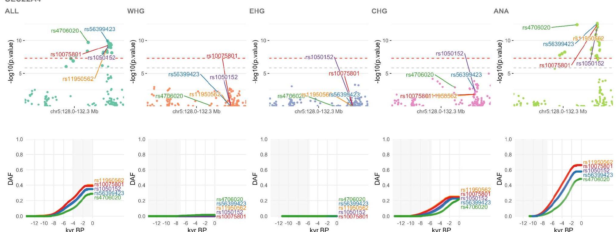 A schematic of the model of population structure in europe,