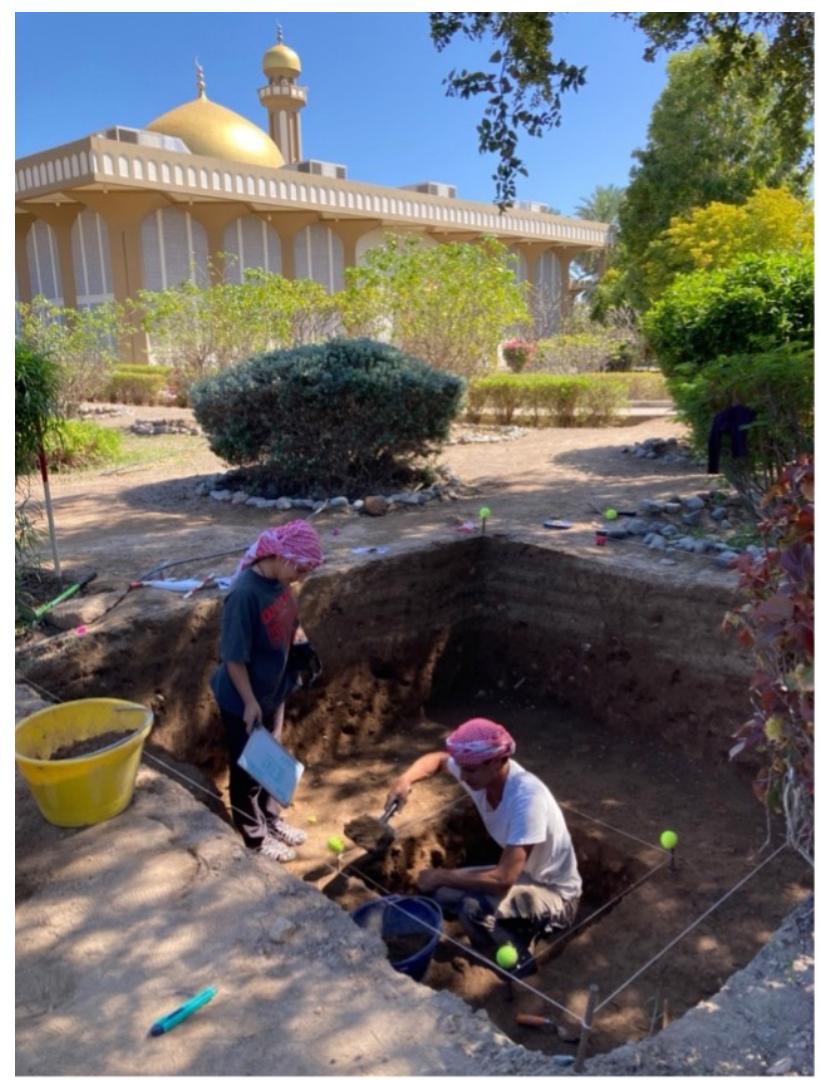 Figure 3. Trial excavation south of Sohar Fort close to Sultan Qaboos Mosque. Photo Derek Kennet  The aims of the 2024 excavation season were  cen he con he  he  ered on accessing the material remains of archaeological mound, where the earliest exts can lie up to eight metres below current ground surface. A series of deep  archaeological probes has begun to draw out  pattern of the buried town. The strategy  involved a combination of deep shafts requiring  em  porary shoring (Fig. 2) and more extensive  exposure in shallower areas of the outer town (Fig. 3). The success of this season offers a certain way forward for future investigation.  Excavations targeted the fort itself, where two renches were opened, and two other areas sitting outside of the existing fort walls to the south and east. The existing fort, sitting near he highest point of the tell has only recently been renovated and encompasses a still visible earlier structure that had been the subject of excavations in the early 1980s by Monique Kervran. One goal of the season was a full assessment of the function and phasing of this visible structure and its relationship to the existing fort. What became clear is that the original fired brick fort has been intensively reconstructed and reworked from what is possibly the mid-Islamic period through  