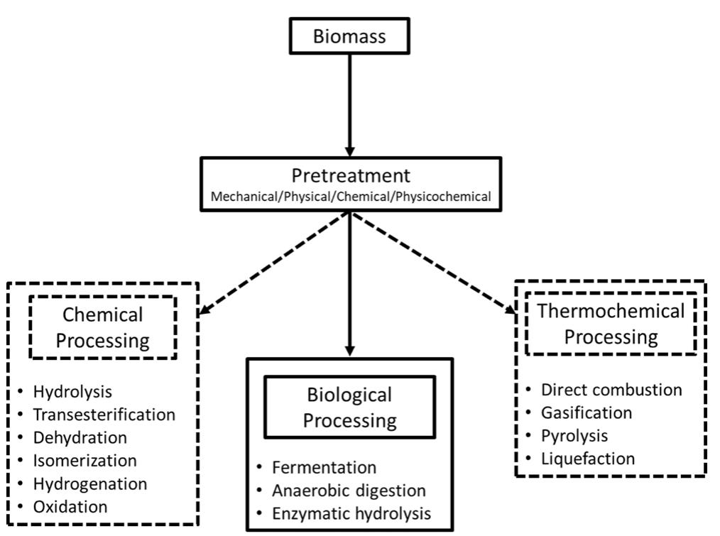 (PDF) Utilisation/upgrading of orange peel waste from a biological ...