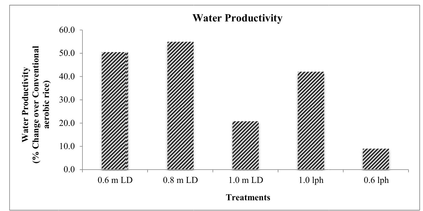 (PDF) Effect of Drip Irrigation on Growth, Physiology, Yield and Water ...