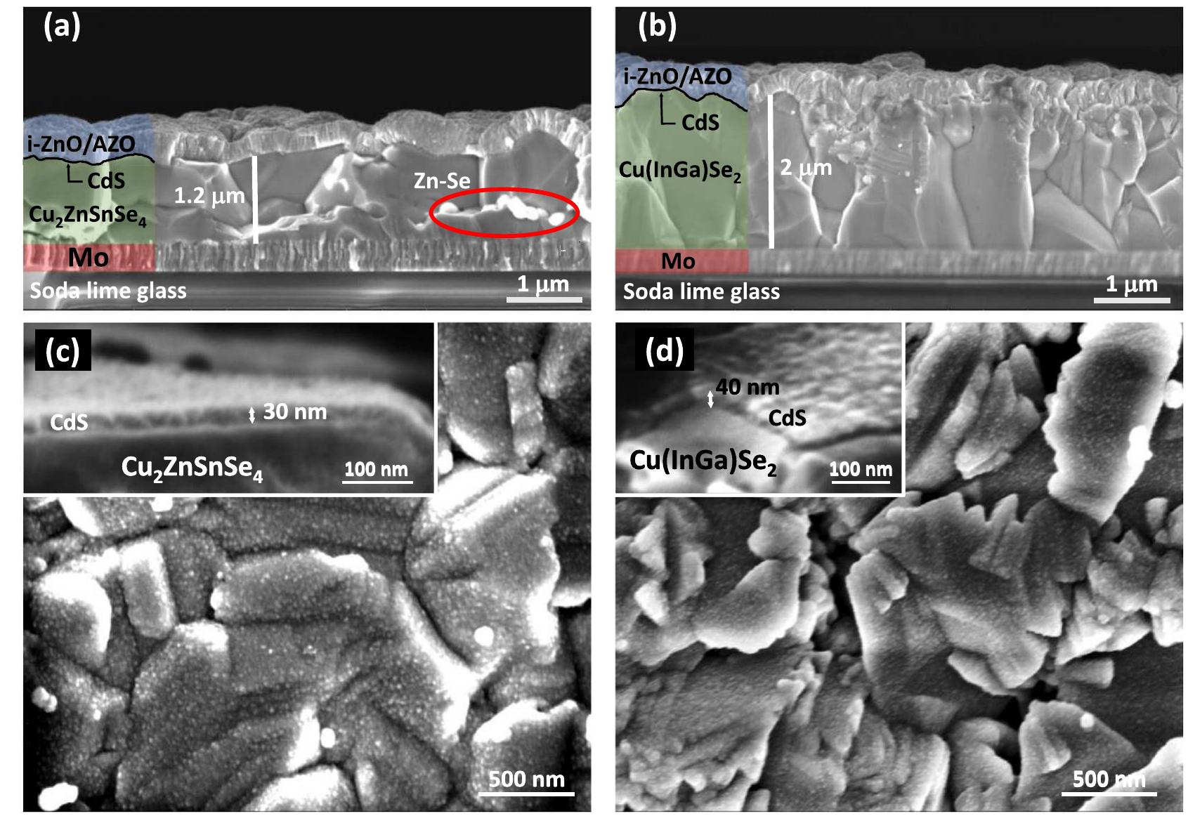 Cross-section scanning electron microscope images of the