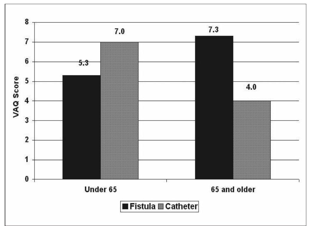 (PDF) The Vascular Access Questionnaire: Assessing Patient-Reported ...