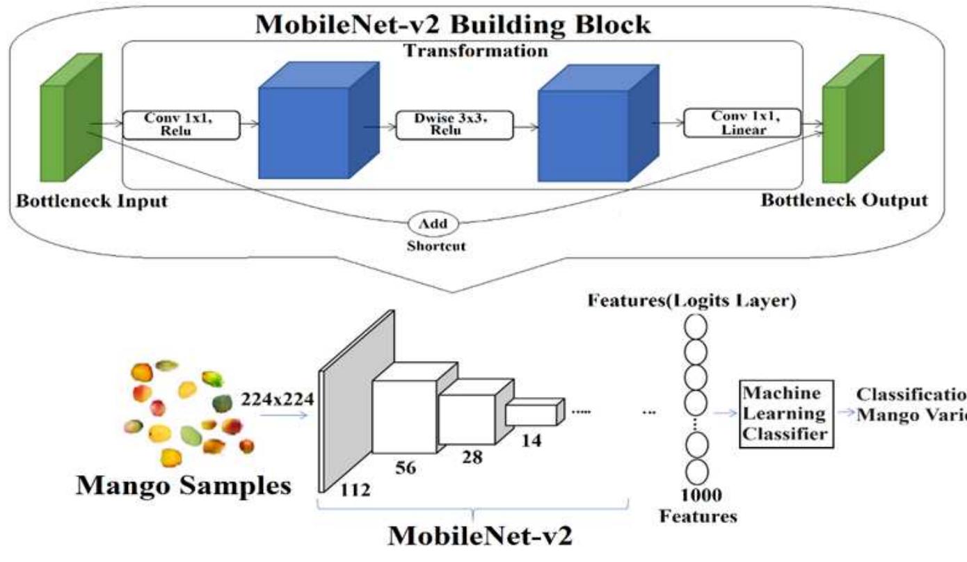 (PDF) Automated Classification of Indian Mango Varieties Using Machine ...