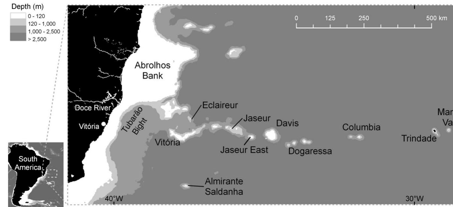 Table 1 Summary of the environmental characteristics of the sampling sites  Surface circulation is dominated by the Brazil Current (BC) which follows three different paths perpendicular to the VTC (Evans and Signorini 1985). The main flow is between Besnard and Vitéria seamounts, followed by a second and more offshore flux between Vitoria and Jaseur seamounts. The third and weakest path occurs between the Abrolhos Bank and Besnard seamount (Ghisolfi et al. 2015; Lemos et al. 2018). The BC becomes unstable after crossing the VTC and reorganizes itself as a single jet just south of 21°S. Within the Tubarao Bight (Fig. 1), the hydrodynamics is complex, with the presence of offshore eddies and coastal upwelling (Schmid et al. 1995; Gaeta et al. 1999; Mill et al. 2015). Because of the strong southward flow, the BC may constrain dispersal of organisms between the mainland and the VTC (Pinheiro et al. 2015a). Northward-moving cyclonic eddies, generated along the shelf break, reach the seamounts of the VTC (Costa et al. 2017).  