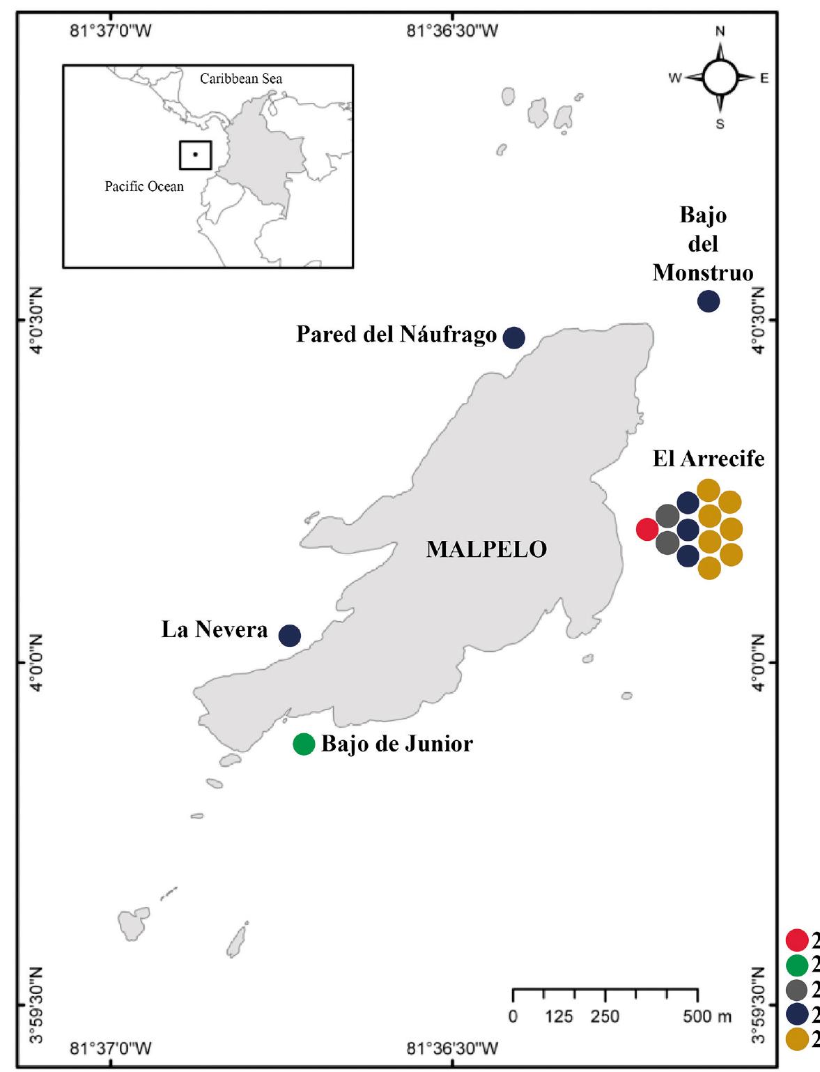 Figure 1. Map and location of foraging associations observed around a year at Malpelo Island, Colombia. Colors are different years (see on the right of the square).  19 occasions between February 2002 and August 2009, and between 08:00-16:00 h at depths ranging from 8 to 27 m (Table 1). Nuclear-follower association was most commonly observed at a site known as El Arrecife (Figure 1). The interactions are described based on observations and photographs taken during fish visual censuses on the reef. 