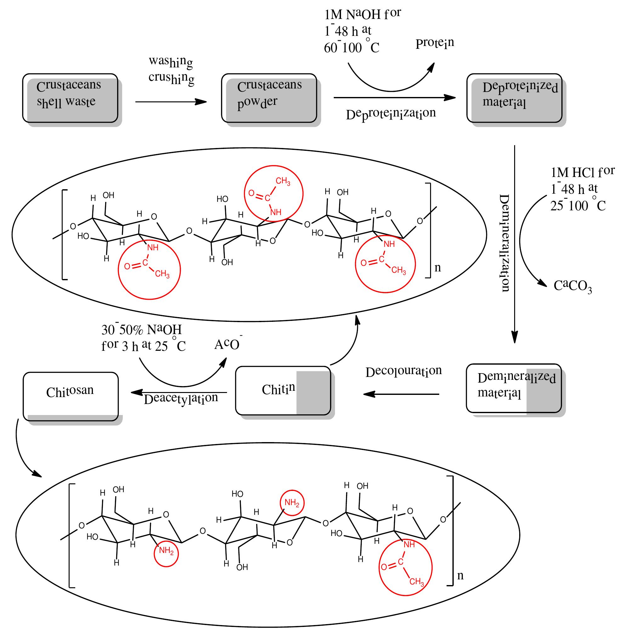 (PDF) Recent developments in chitosan encapsulation of various active ...