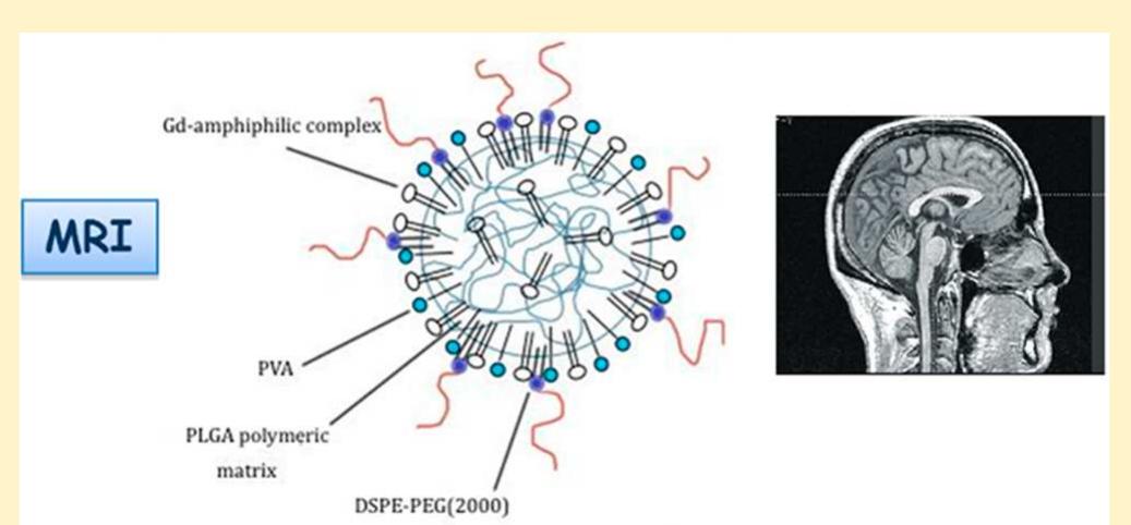Figure 1 - Design of PLGA Based Nanoparticles for Imaging