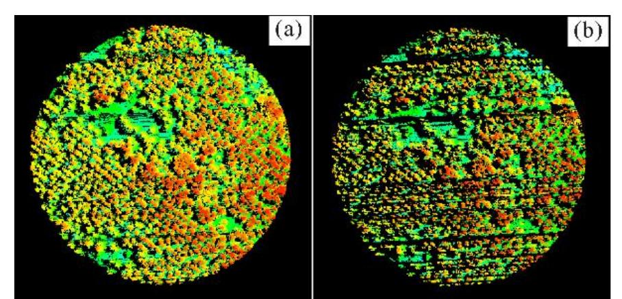 (PDF) Canopy Lidar Point Cloud Data K-Means Clustering Watershed ...