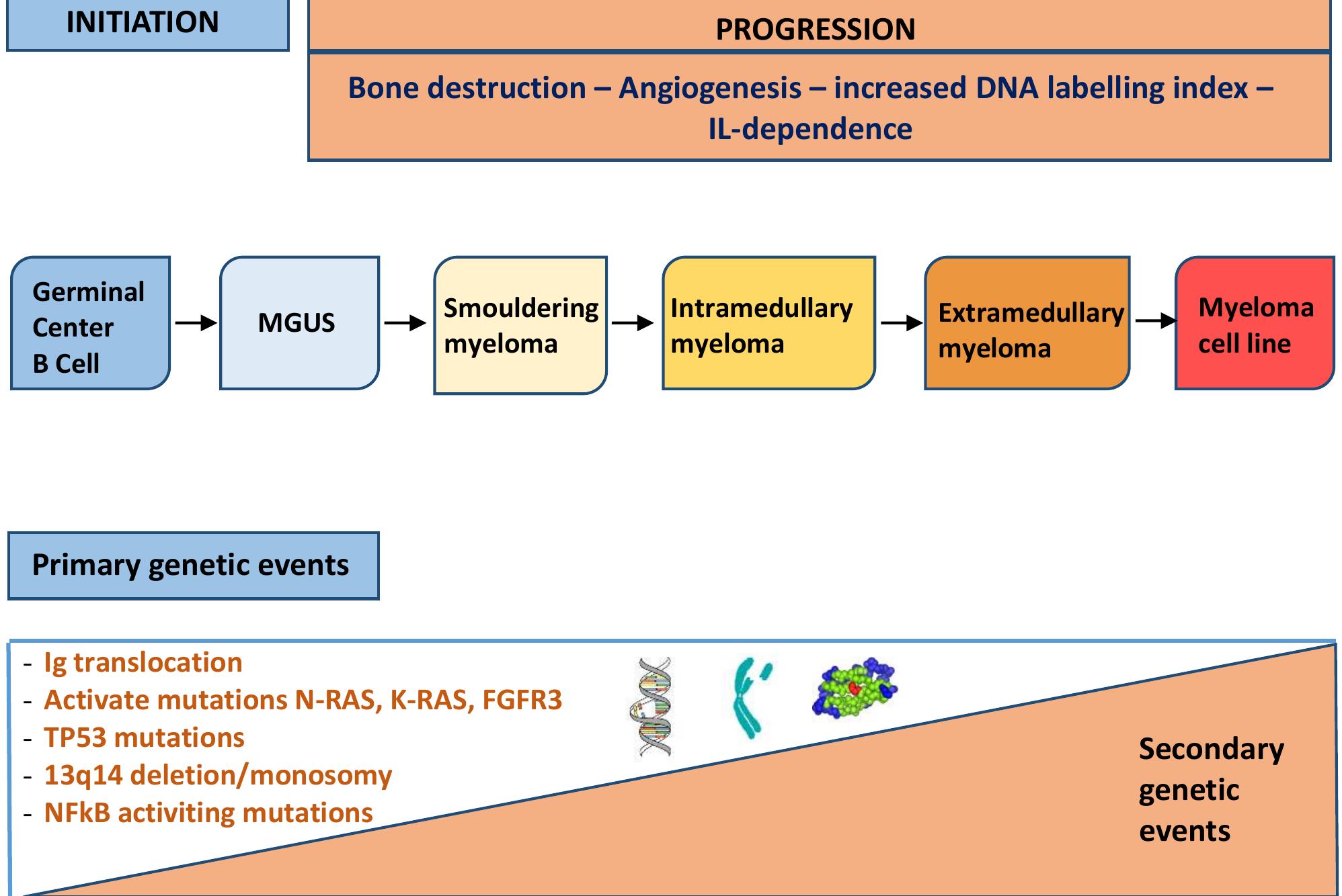 (PDF) A Mini-Review on Thalidomide: Chemistry, Mechanisms of Action ...