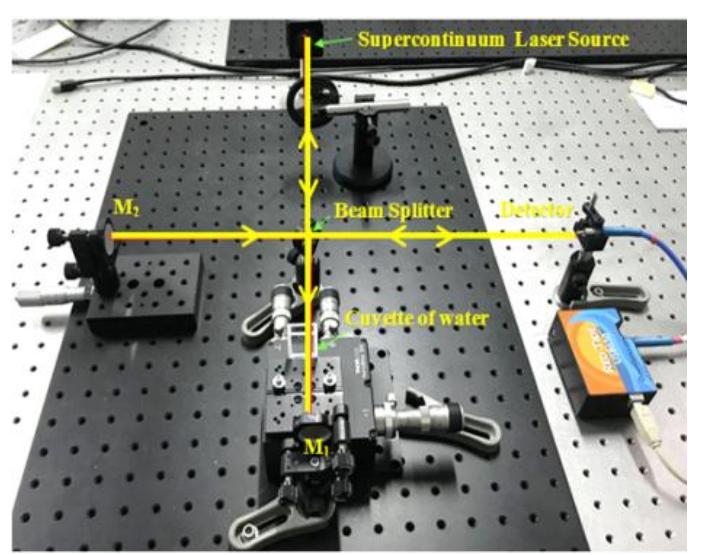 The schematic of a michelson interferometer with a