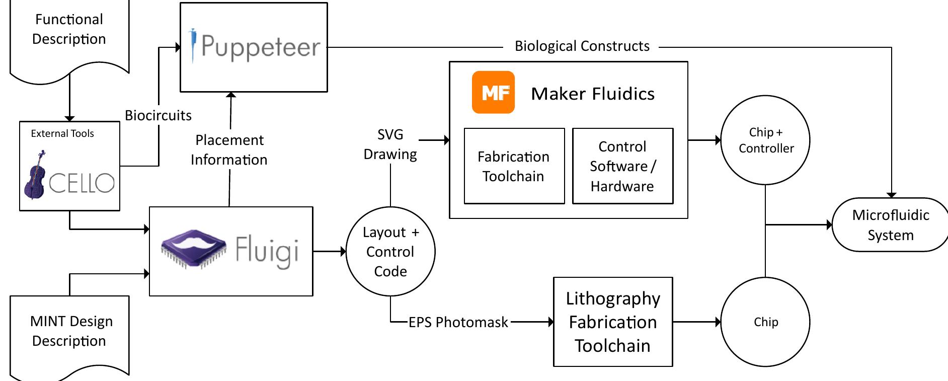 Flogi Process Fluigi work-flows. shown is how a mint description or a