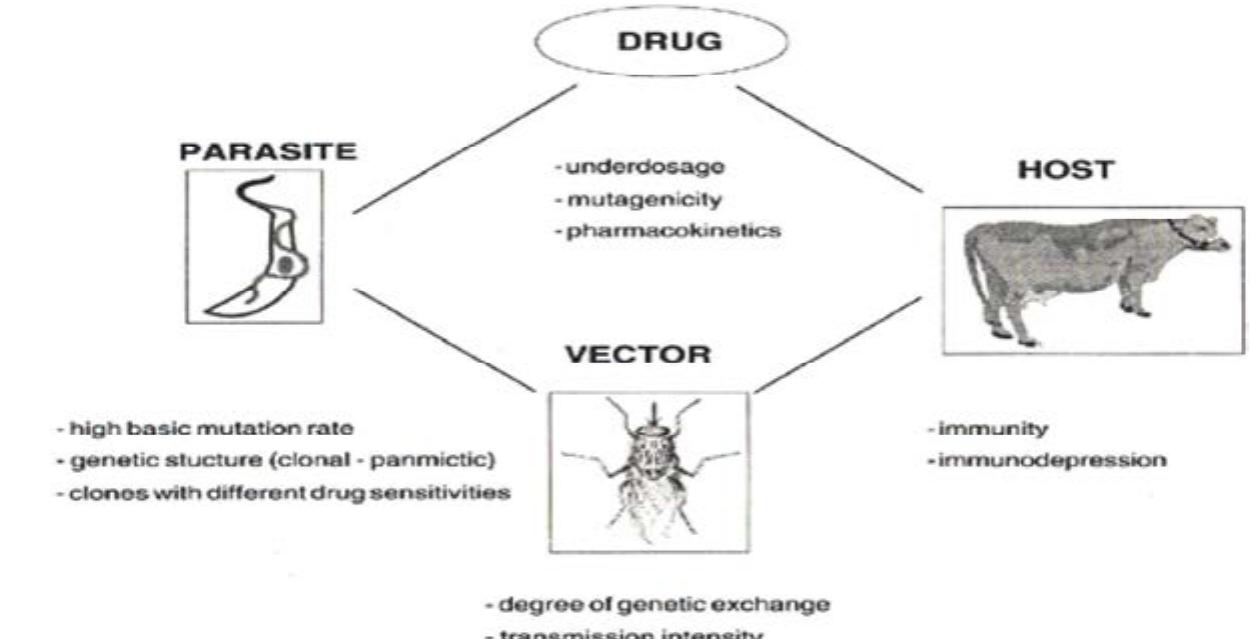Homidium The structures of the four most commonly used drug in the