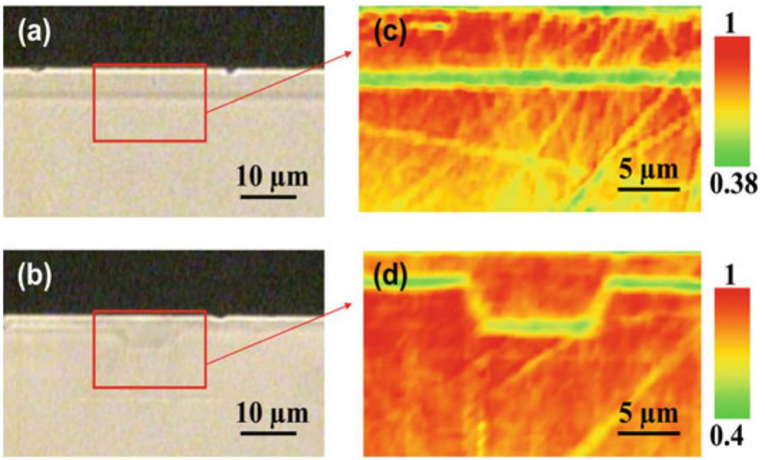 1 optical transmission photographs obtained from the cross