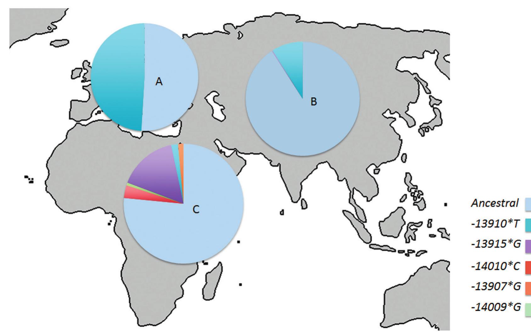 (PDF) Lactase persistence: a case of evolution in modern humans