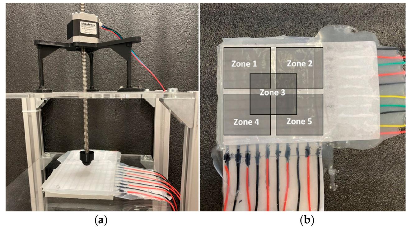 Figure 6. Setup for operating different tactile tests: (a) Attaching different probe sizes to the stepper motor for applying normal force and (b) dividing the sensor into five test zones to investigate the sensor performance. 