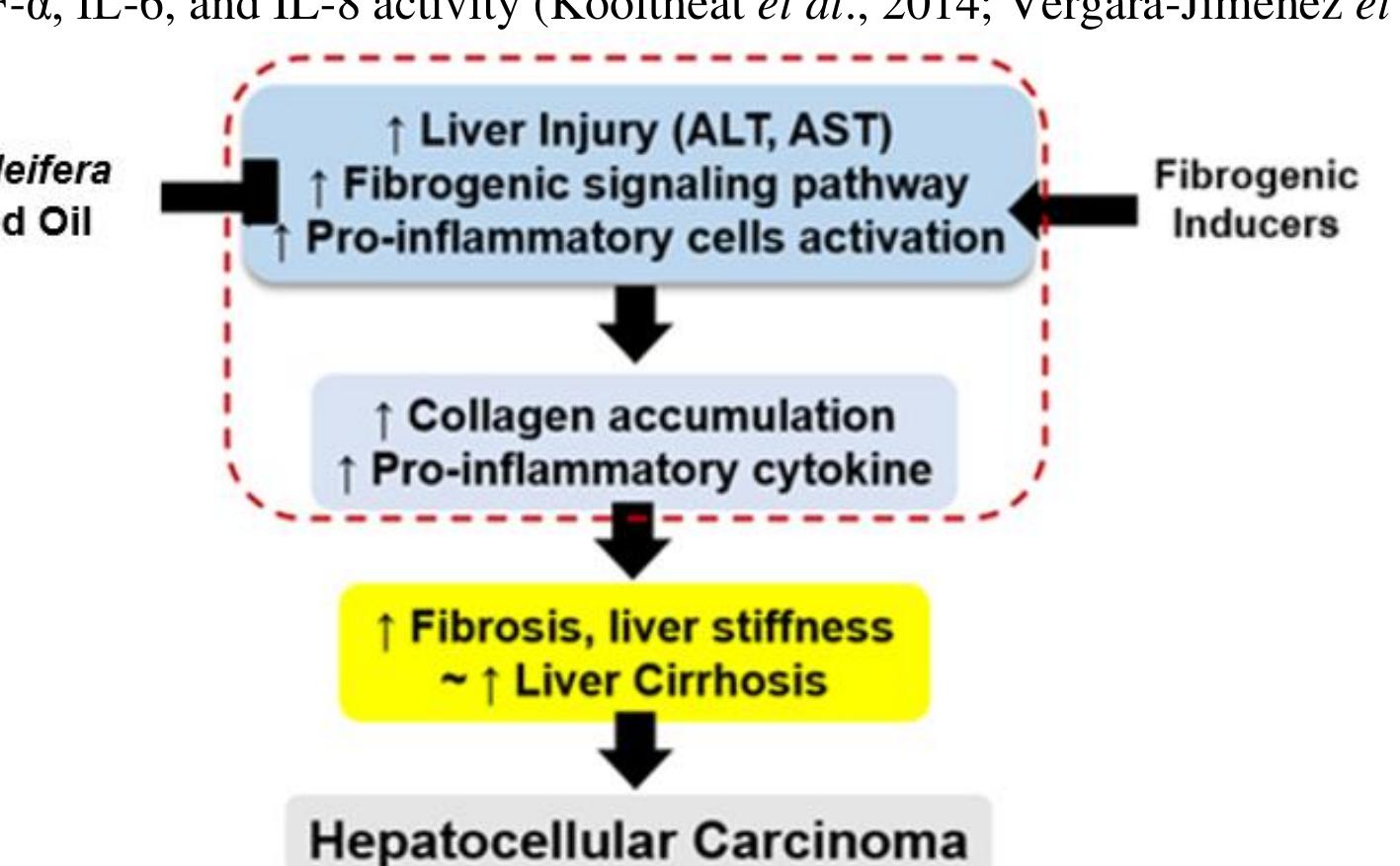 Inhibition mechanism of pro-inflammatory cytokines
