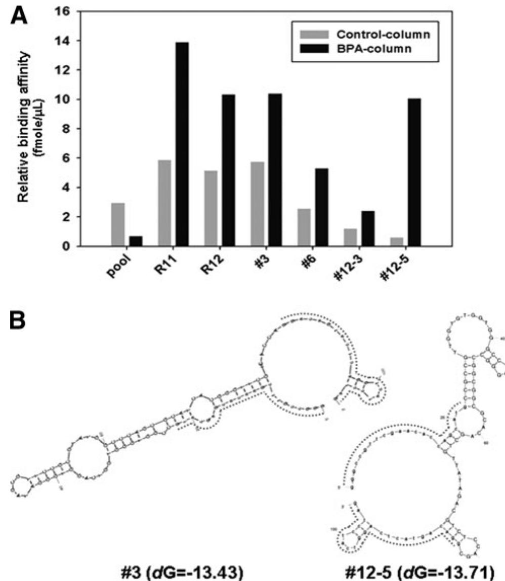 (PDF) Development of Single-Stranded DNA Aptamers for Specific ...