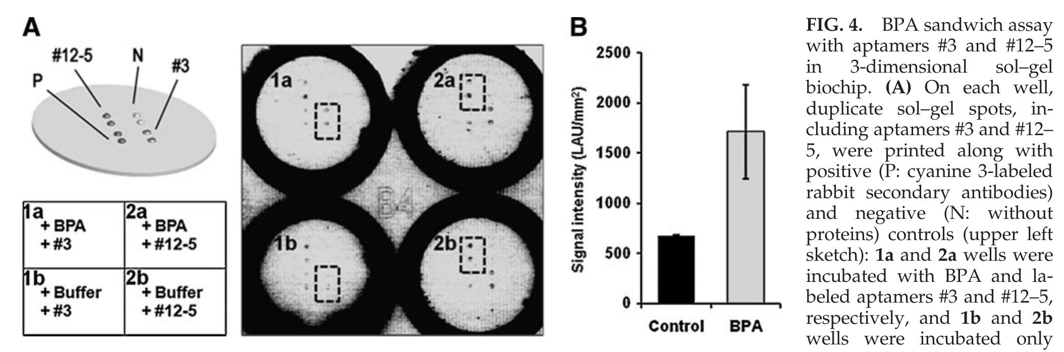 (PDF) Development of Single-Stranded DNA Aptamers for Specific ...