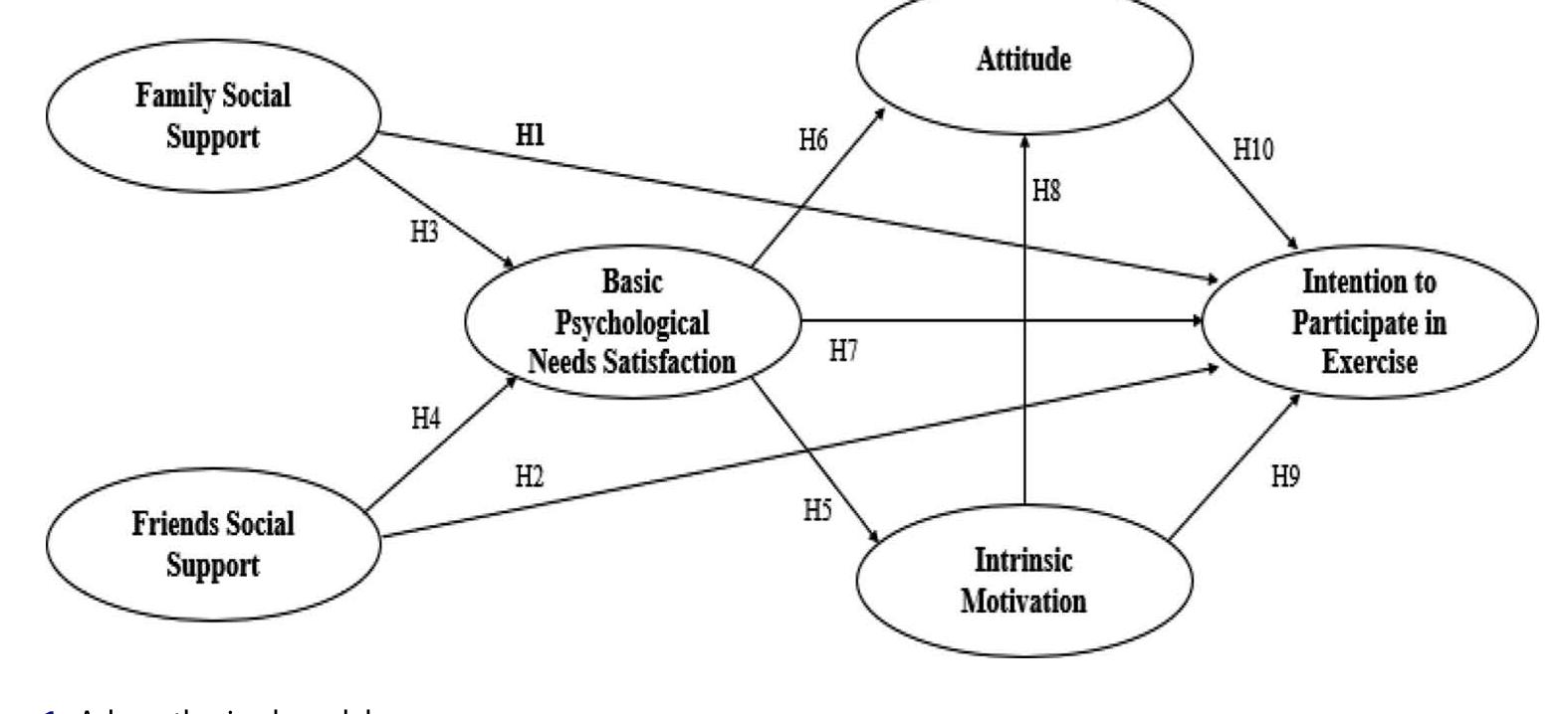 (PDF) The role of social support and its influence on exercise ...