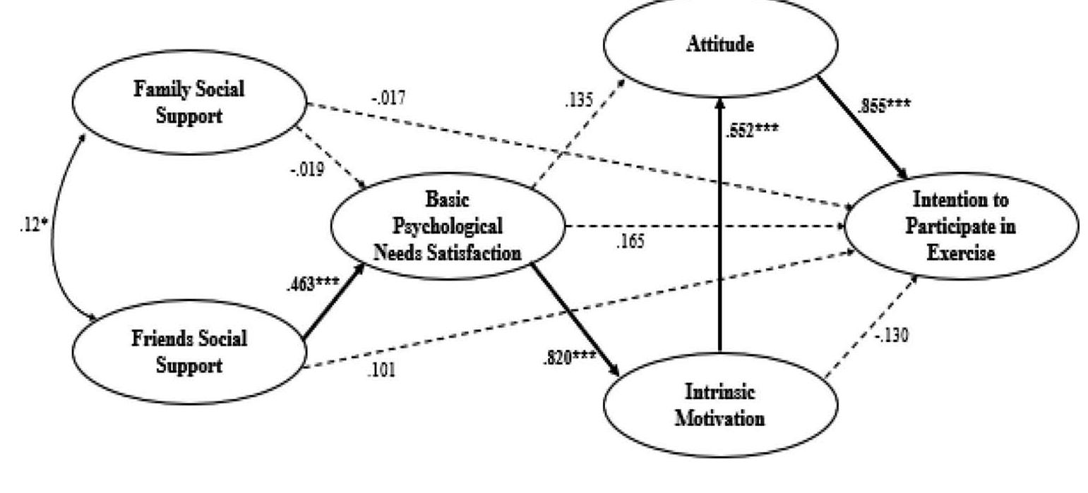 (PDF) The role of social support and its influence on exercise ...