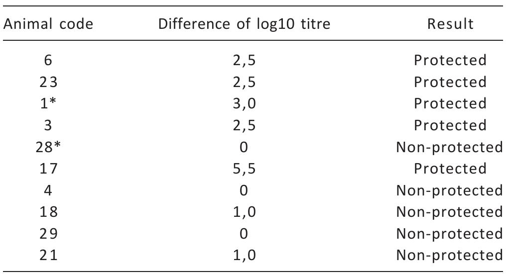 *the lesions in 1 and 28 codes of sheep were shown in