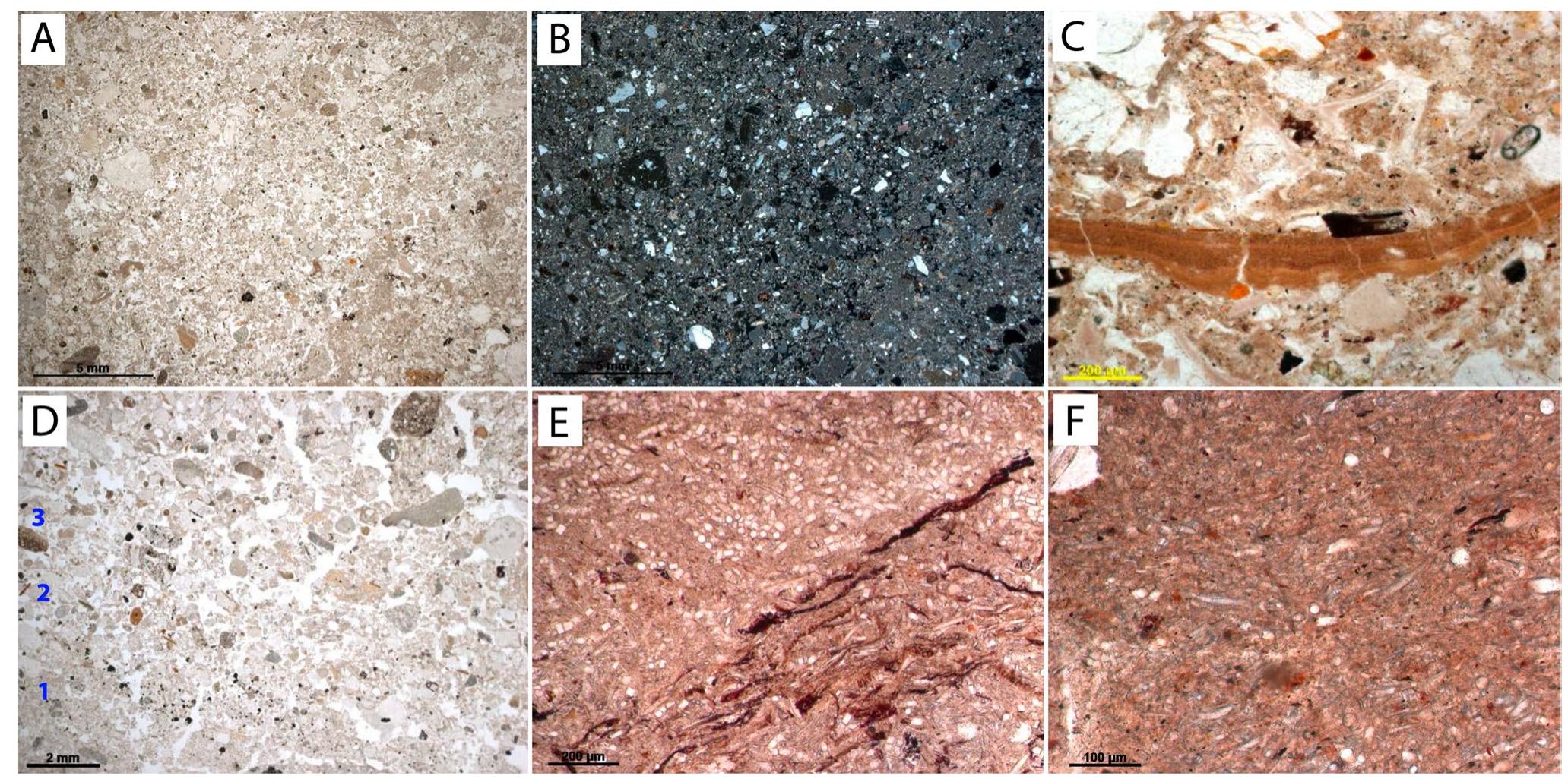 are visible here: 1 very fine sand, 2 opaque minerals, very fine sand, 3 medium to coarse sand, poorly sorted, PPL; E the fine fraction in the upper two backswamp deposits is dominated by the different types of diatoms mixed together. In the lower corner of the image, elongate, rod-like diatoms are interbedded with humified organic material. In the upper corner, the diatom morphologies are tubular, PPL; F the uppermost Late Glacial sediment in the core is rich in diatoms similar to the unit in the test pit, PPL  Fig. 7 Non-archaeological deposits: A the parent material of the bur- ied A and B horizon exposed on the big section is sandy in texture with very poor sorting. The sand grains are well-rounded, and lith- ologies are variable, PPL; B same view as A, XPL; C in these depos- its, clay is present in “ripped-up” and redeposited crusts, as typical of alluvial sediment, PPL; D in the Late Glacial sequence exposed in the test pit, basal alluvial units contain primary depositional fabrics. The sand grains are sorted, and three layers distinguished by texture 