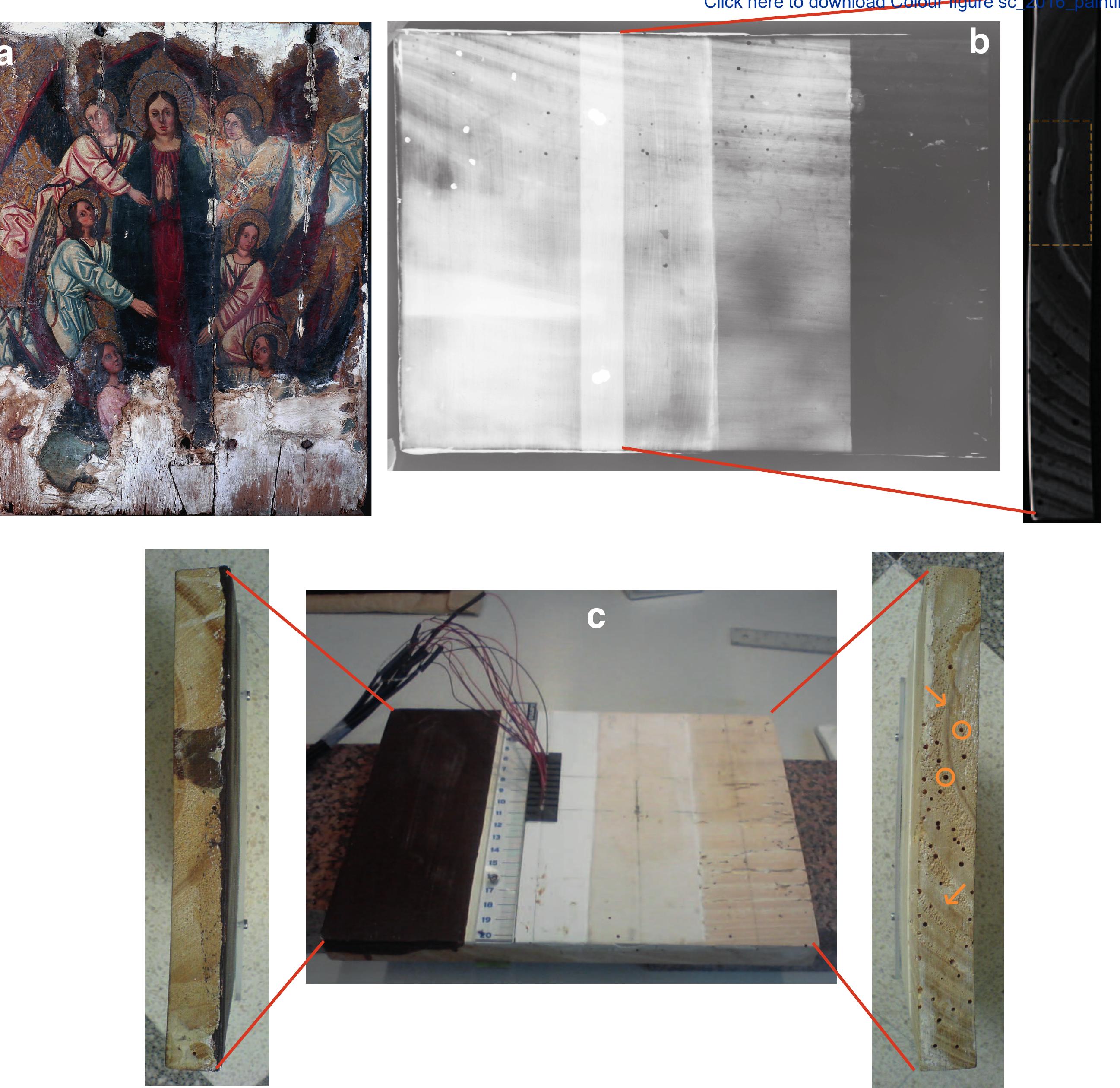 Figure 1 - High-Resolution Ultrasonic Imaging of Artworks