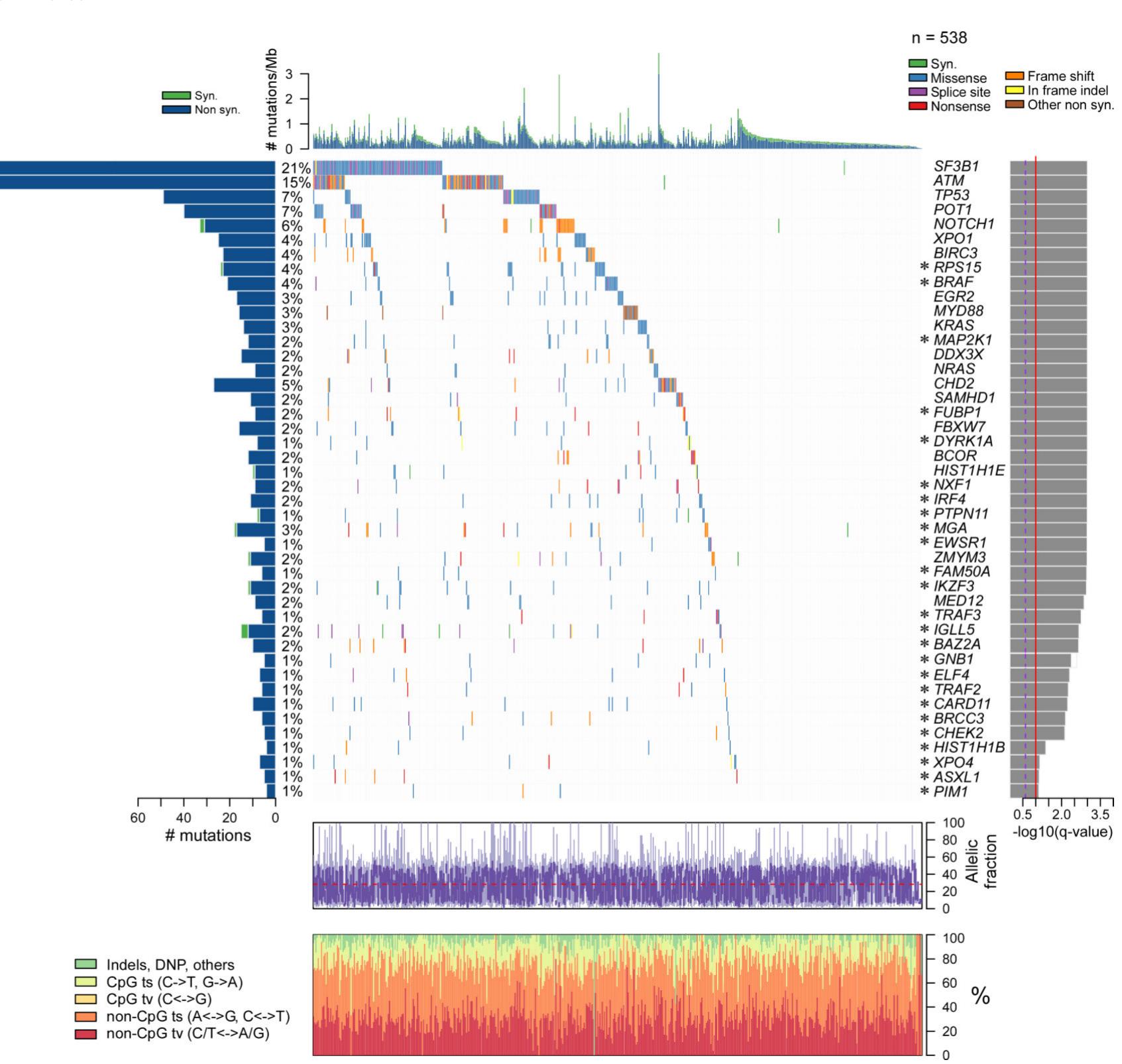 (PDF) Mutations driving CLL and their evolution in progression and relapse