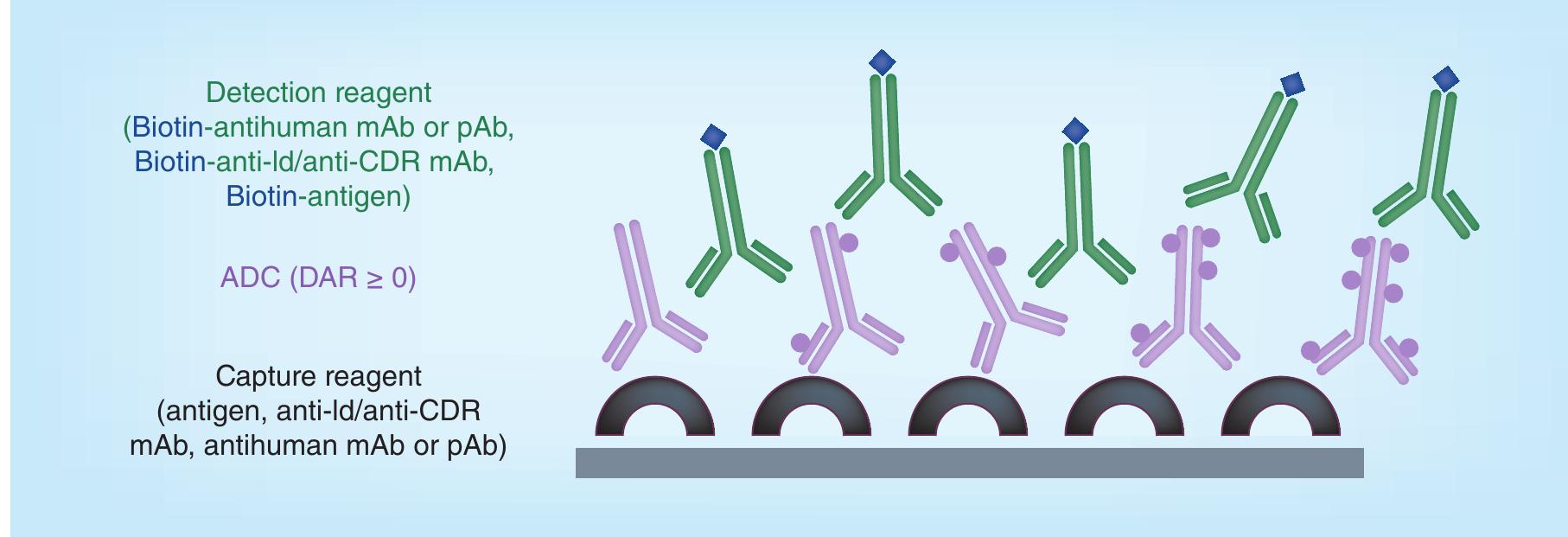 (PDF) Antibody–drug conjugates nonclinical support: from early to late ...