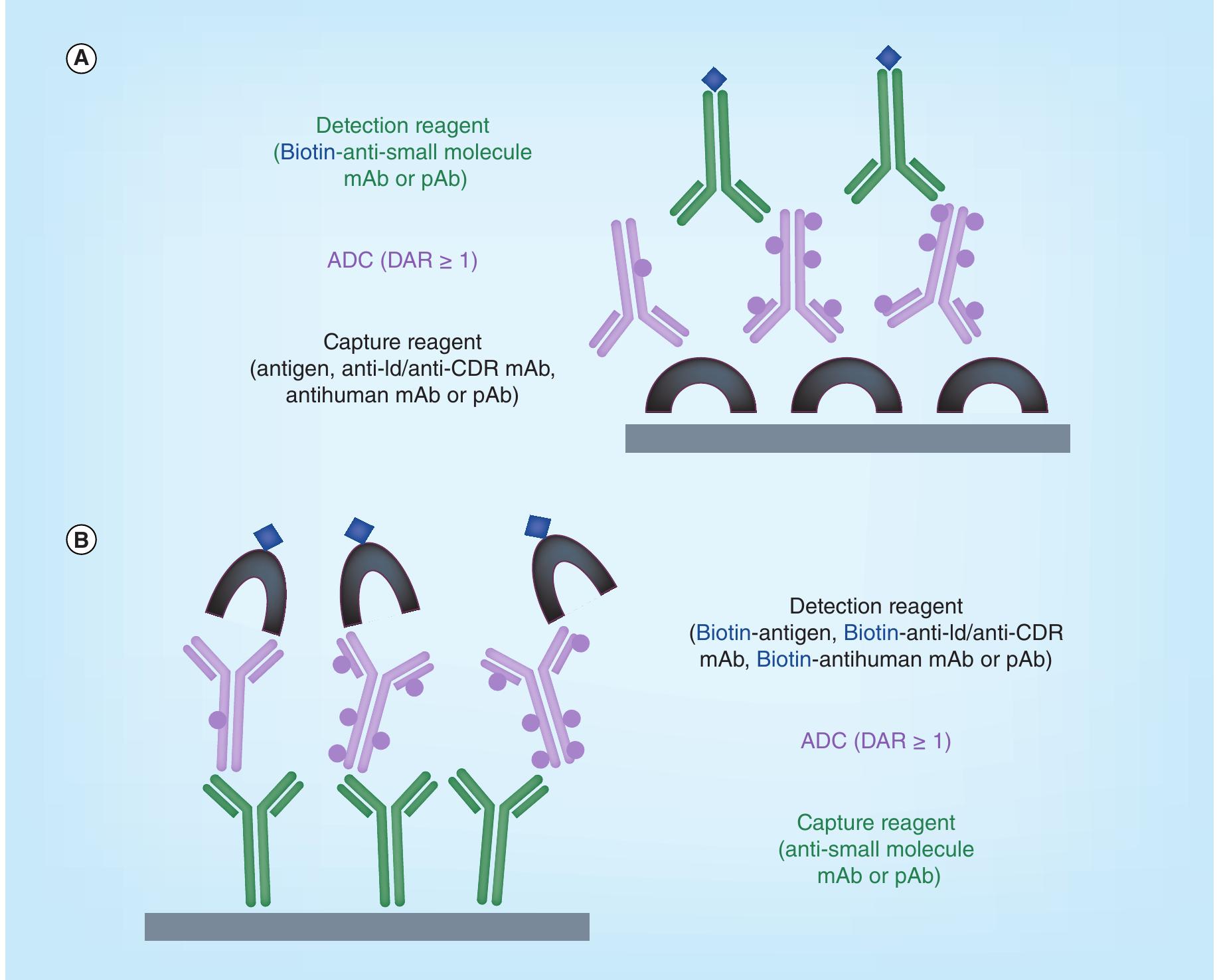 (PDF) Antibody–drug conjugates nonclinical support: from early to late ...