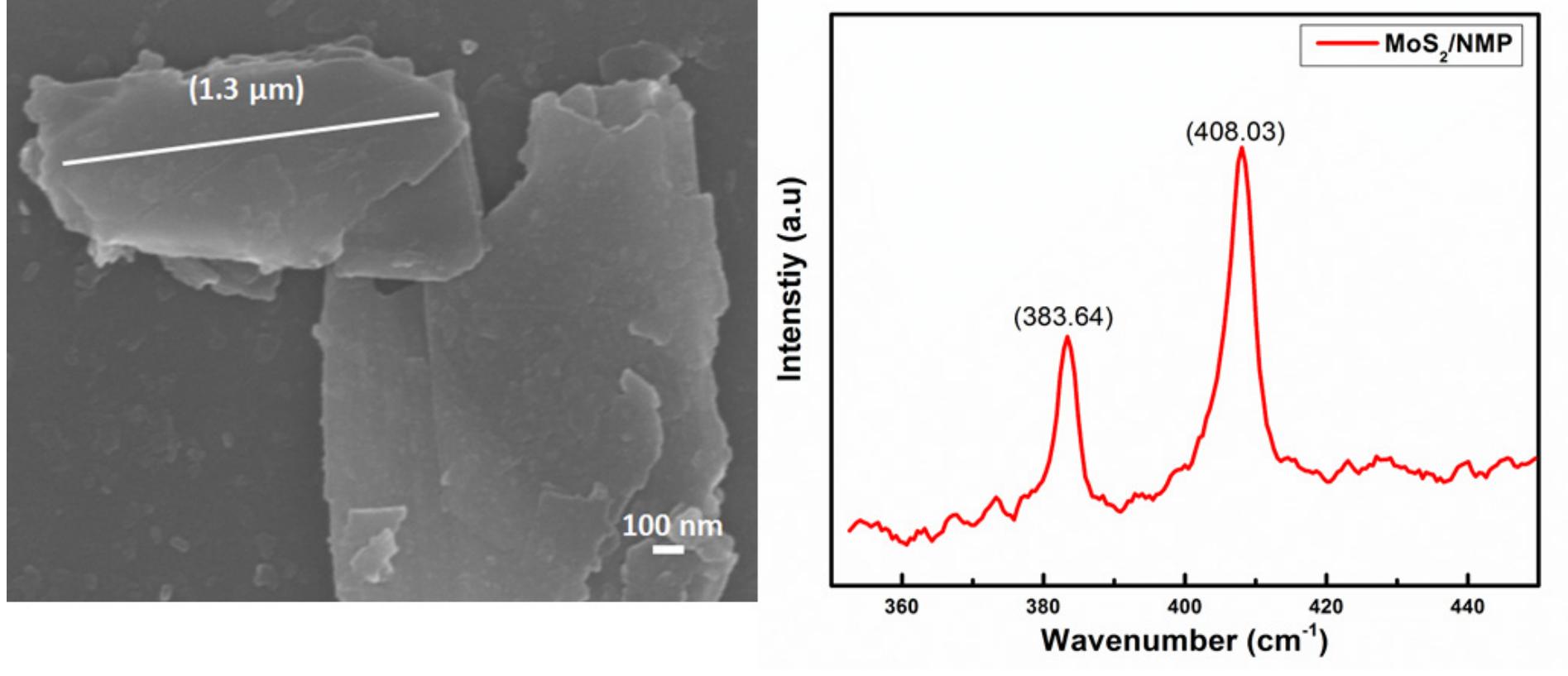 (a) the fesem image of mos, nanosheets and (b) shows the
