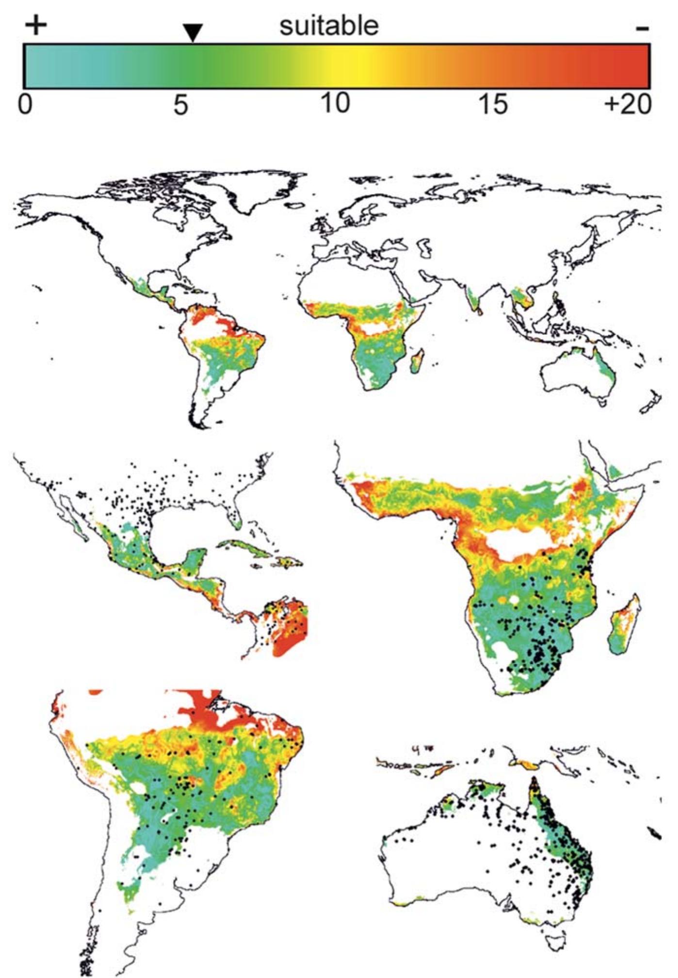 (PDF) Global distribution patterns provide evidence of niche shift by ...