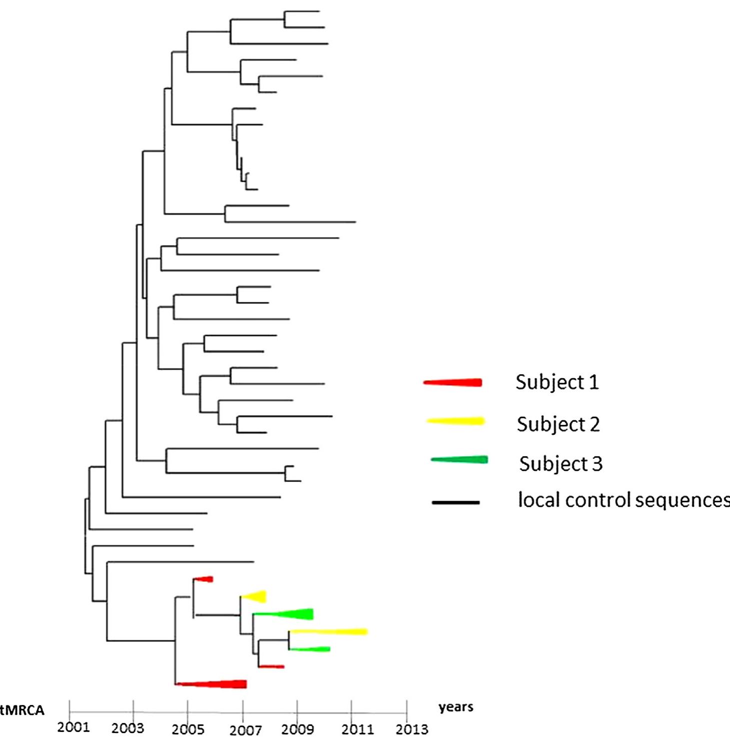 Figure 3 - from Forensic application of phylogenetic