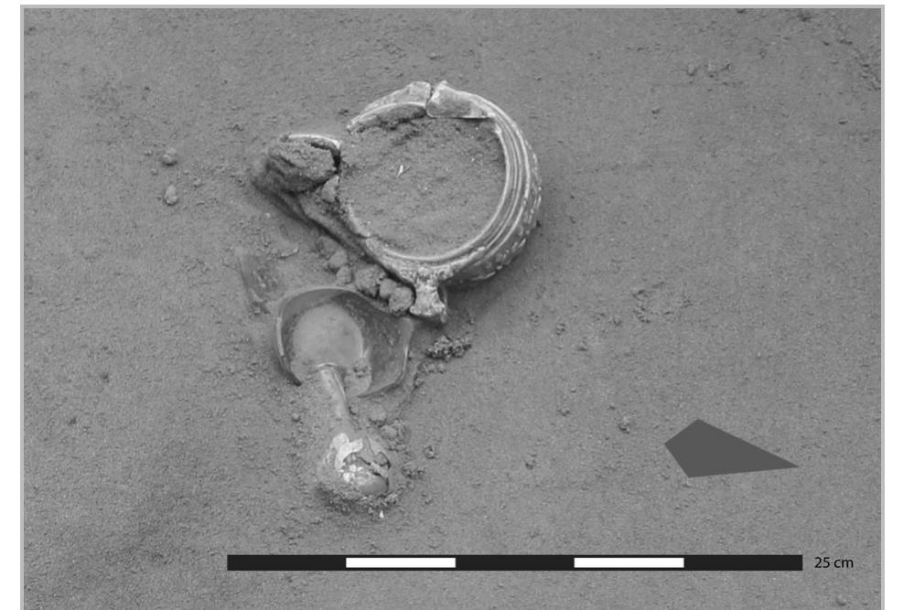 Fig. 24- The cluster containing the skyphos, glass unguentarium and glass cup fragments in Context 110.  with leaves (fig. 28 and 29) or myrtle berries Myrtus communis) with leaves (fig. 30 and 31). The distinctive ring handles are ornated by moulded three pomegranate or myrtle berry fruits with the one in the middle positioned on a ridged foot. In addition, arm shapes extending from the rim are tipped with a stylised pomegranate or myrtle berry fruit. These arm shapes available on the sides of each handle are designed to fix the handles to the rim (fig. 26: B). The moulded decoration on the exterior resembles the repoussé ornament of vessels made from precious metals (gold and silver). The use of plant branches for decoration is very common on metal and terracotta skyphoi. The plant patterns often represented are olives (Olea europaea), wild grapes (Vitis vinifera subsp. sylvestris), oaks (Quercus ilex), and laurels (Laurus nobilis).   oaks (Quercus ilex), and laurels (Laurus nobilis). 