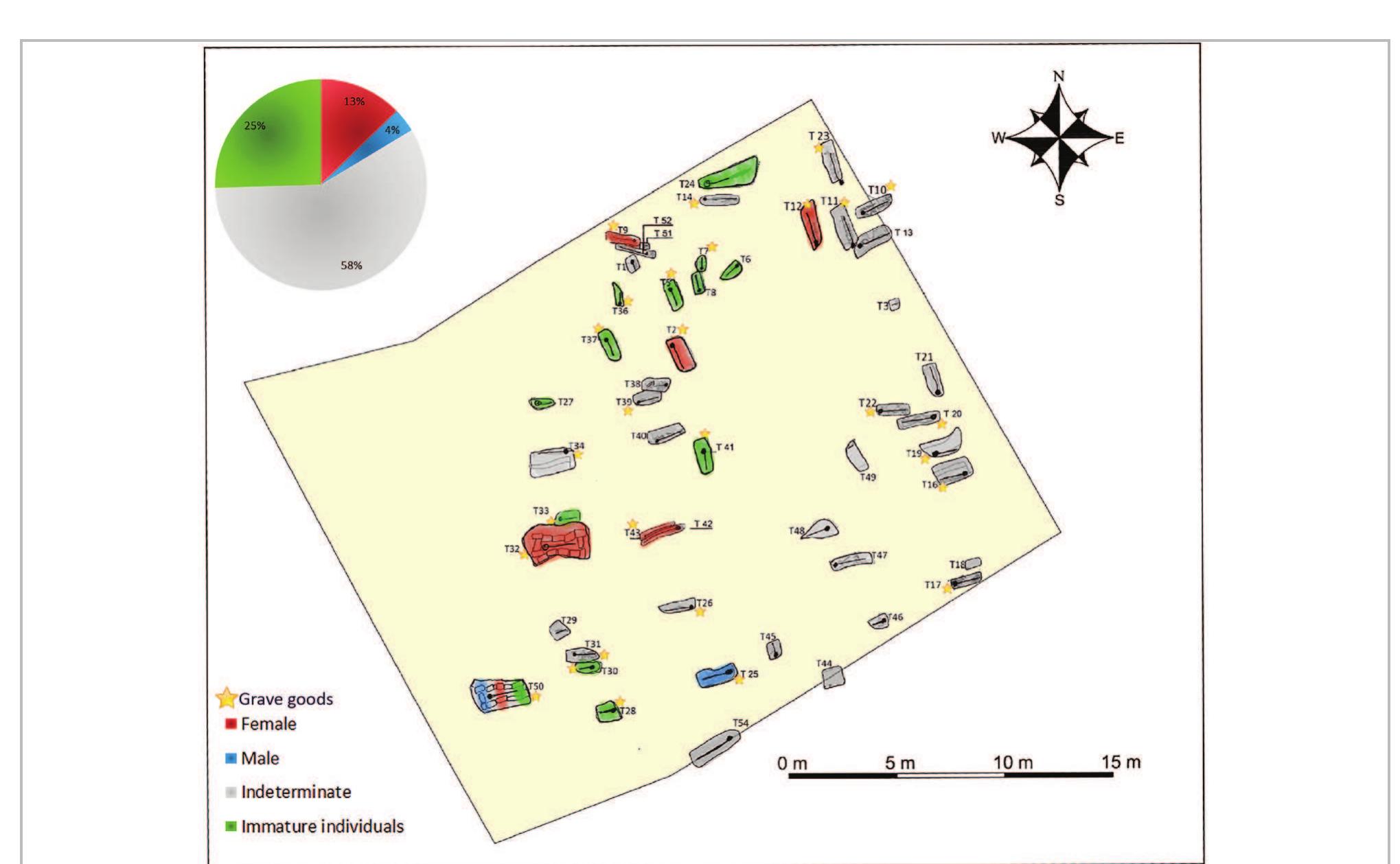 Fig. 18- Biological identities at MDWR168 funerary site (GIS: Nada Elias). 