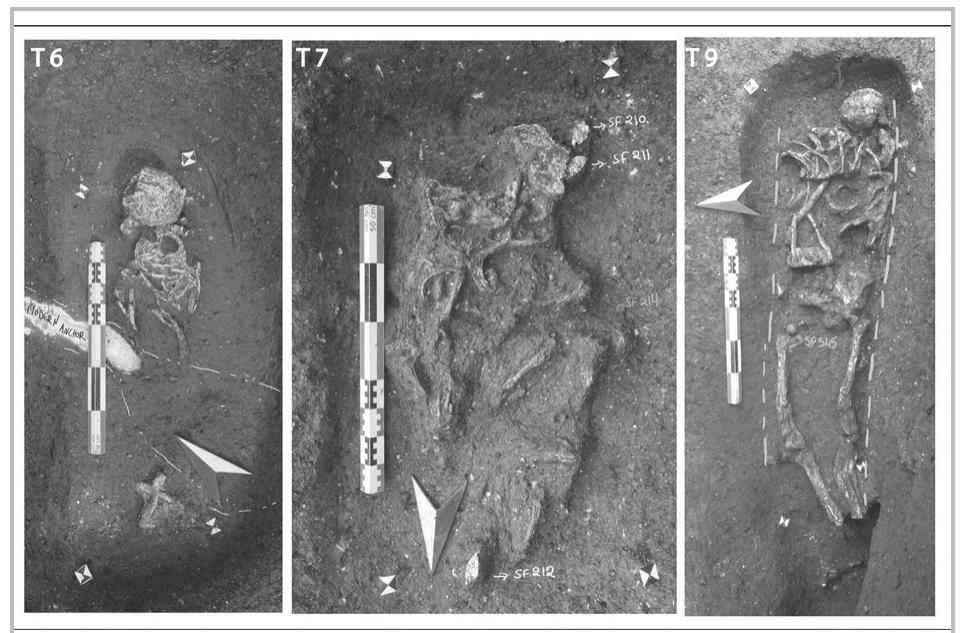 Fig. 22- Tombs 6, 7, and 9 (first century AD).  Typology: raised decayed wooden coffin.  This burial contains the remains of Individual 290. This individual is an adult female aged more than 20 years at death (fig. 22: T9). She was buried prone with the cranium positioned to the east and the feet to the west. Two linear delimitations were observed: one on the right side and another on the left side of the individual. The anatomical connections were mostly preserved; however, the craniofacial region was displaced to the south-west, while several elements of the thoracic region were also displaced outside the original volume of the body. These disturbances occurred after the destruction of a raised wooden coffin. Taken collectively, these findings indicate that decomposition occurred in an empty space inside a wooden coffin. The inclusion of one glass unguentarium fragment (S.F. 545) located to the right of the proximal end of the right femur, indicates that libation rites were  performed on this burial. Lg (ee See, Se, ee: [ae ere ee ee of ee  
