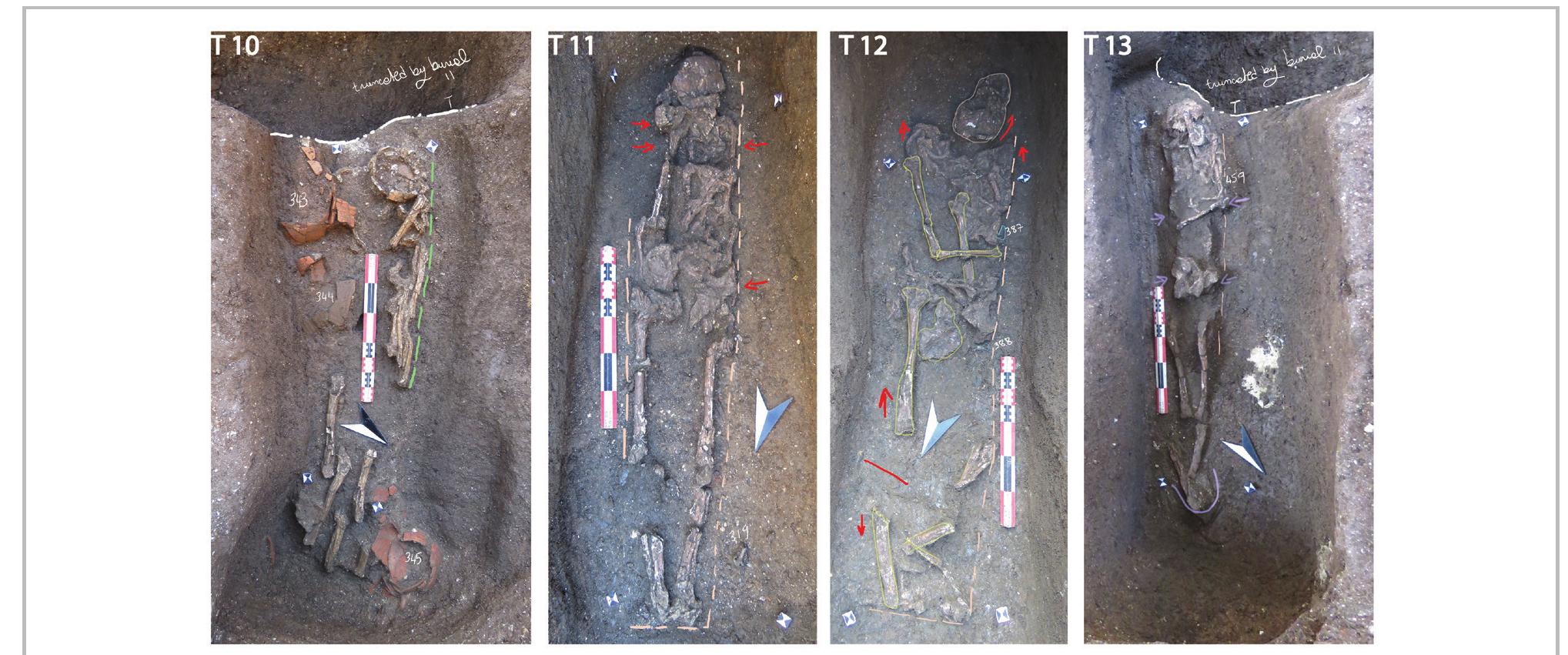 Fig. 23- Tombs 10, 11, 12, and 13 (first century ap).  (fig. 23: T13). This individual was buried supinely;  Burial 12 pit (Cxt 416) is cut from the south by Tomb 44, it contains the remains of Individual 412 (fig. 23: T13). This individual was buried supinely;  Typology: soft envelope wrapping of the body inside a decayed wooden coffin. 