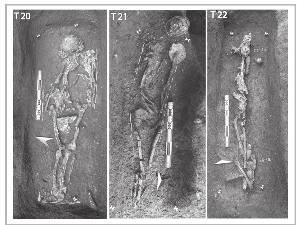Fig. 25- Tombs 20, 21, and 22 (first century AD).  Typology: soft envelope wrapping of the body inside a decayed wooden coffin. 