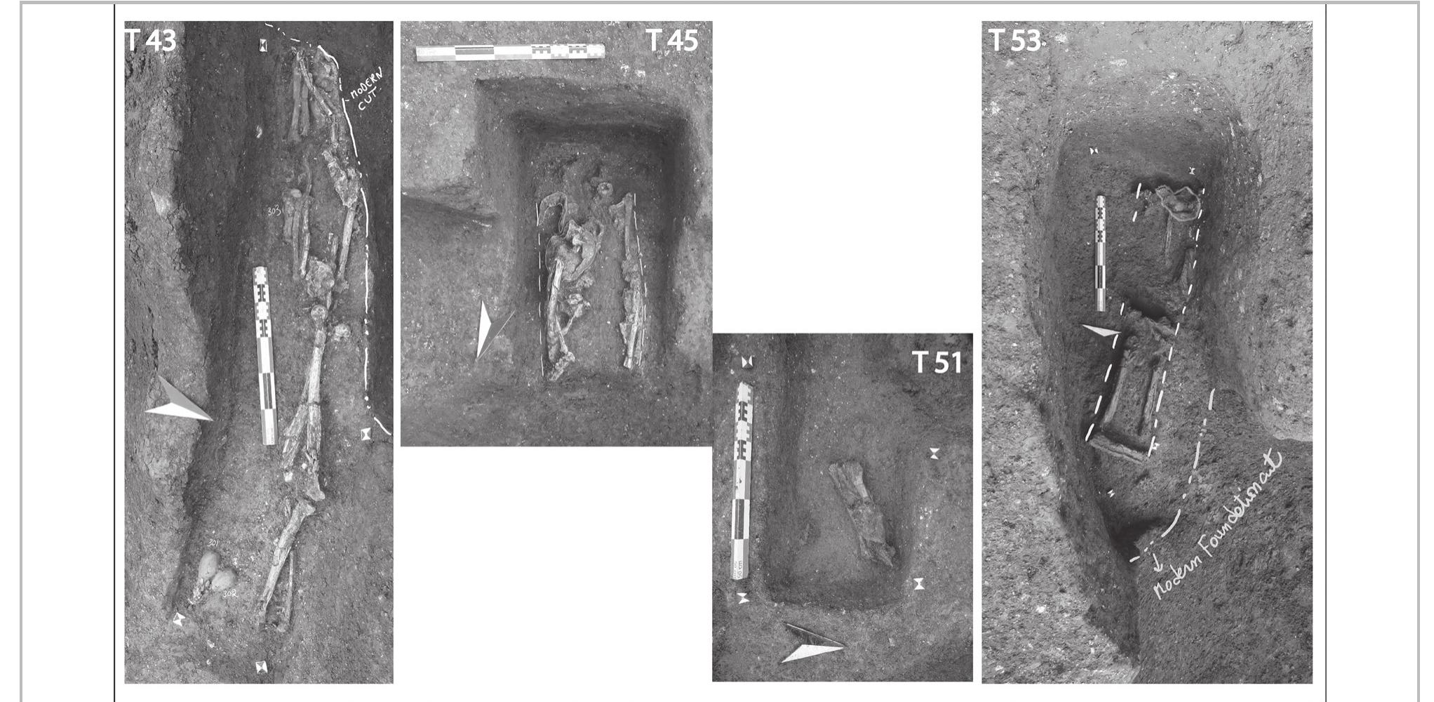 Fig. 29- Tombs 43, 45, 51, and 54 (first century ap).  Burial 52 pit (Cxt 371) is cut horizontal  ly by Burials 9 and  51. The burial contains the remains of Individual 341. This individual is an adult of indeterminate sex,  aged more than 25 years at death supinely with the cranium located  and was buried o the east and  the feet oriented to the west. Most of the anatomical connections are preserved but multiple displacements have occurred inside and outside the original volume of the body. These displacements and bloc movements  are probably caused by the fall o coffin after the individual body  a raised wooden decomposition.  Besides, linear delimitation is observed from the right  side of the individual and it include  s the craniofacial  region (secondary position), the right upper limbs and the right lower limbs. These observations, in addition to the presence of ten iron nails around the individual indicate that the decomposition occurred in an empty space inside a raised wooden coffin. Concerning funerary practices, six ceramic unguentaria (S.F. 311,   funerary practices, six ceramic unguentaria (S.F. 311  Burial 38 pit (Cxt 410) is cut to the east by a modern foundation pit and to the north by Pit 292. It contains the remains of Individual 389 (fig. 27: T38). This 