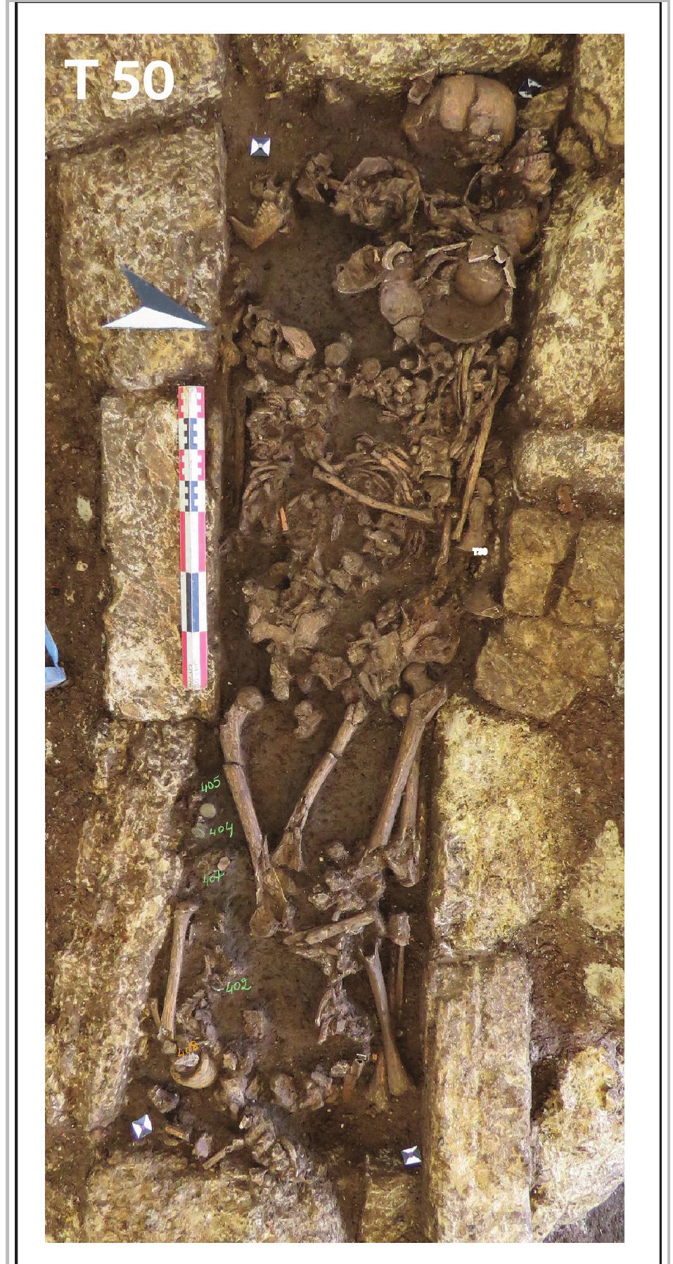 Fig. 33- Tomb 50 (second half of the 2nd-3rd century AbD).  What we can tell about this constructed tomb is that it was the place of five successive inhumations. Based mainly on the excavation records, we propose 