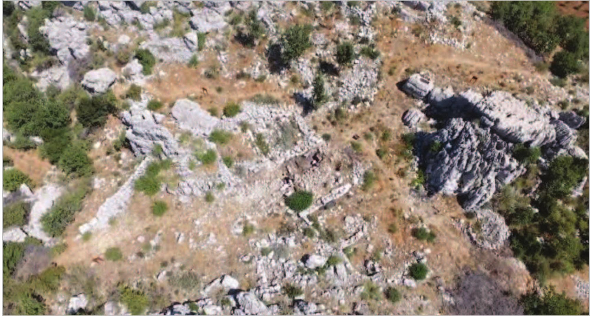 Fig. 2- Plateau of Qornet ed-Deir with Area 2. 