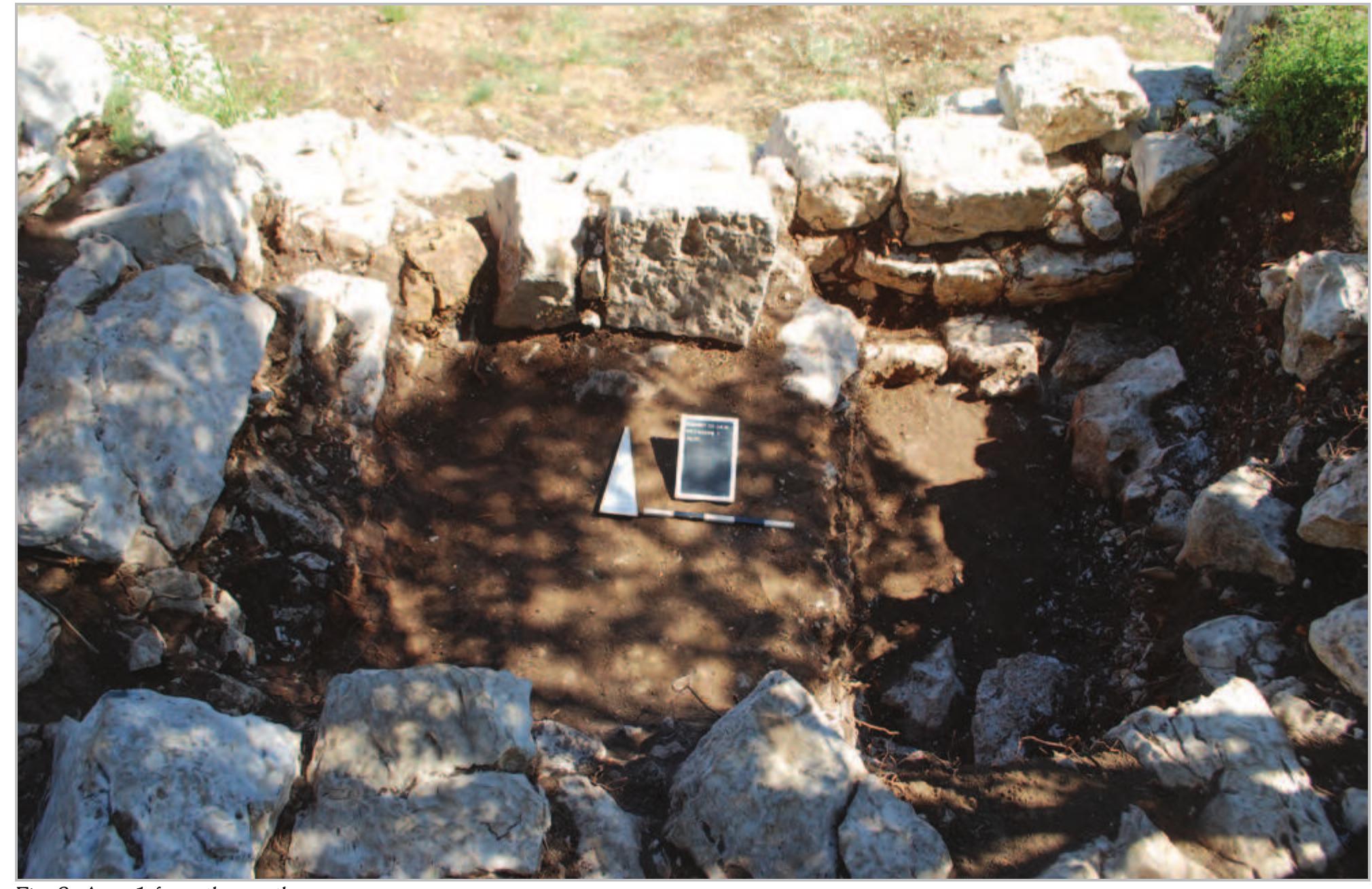 Inside the room under the topsoil (Context 1000) was a stone collapse (context 1004) consisting of very large mostly rectangular ashlars, which clearly represent collapse from the walls. On the surface it looked as if the northern wall was three courses wide in contrast to the western wall, which only was two courses wide. But after the removal of the stone collapse 1004 it turned out the innermost line of the northern wall just represented collapse and this wall also was two courses wide. Under 1004, context 1005   In this area at the bottom of the stairs ascending to the plateau, we exclusively worked in the western of the two rooms of the structure, which was larger and easier accessible. The eastern room is probably a small annexe. Only the north wall (Context 1001) 