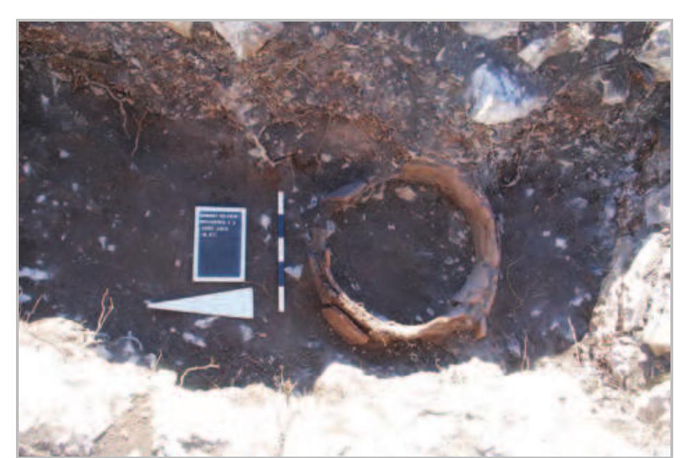 Fig. 9- Area 2/2: “tannour” seen from the west. 