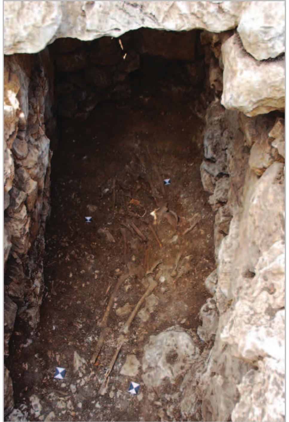 Fig. 16- Area 2/3: view from the south onto the superimposed articulated skeletons. 
