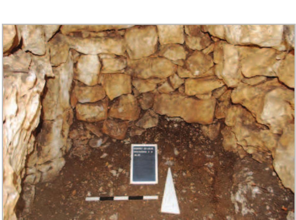 Fig. 14- Area 2/3: view of the northern interior wall of the chamber before further excavation of the articulated skeletons. 