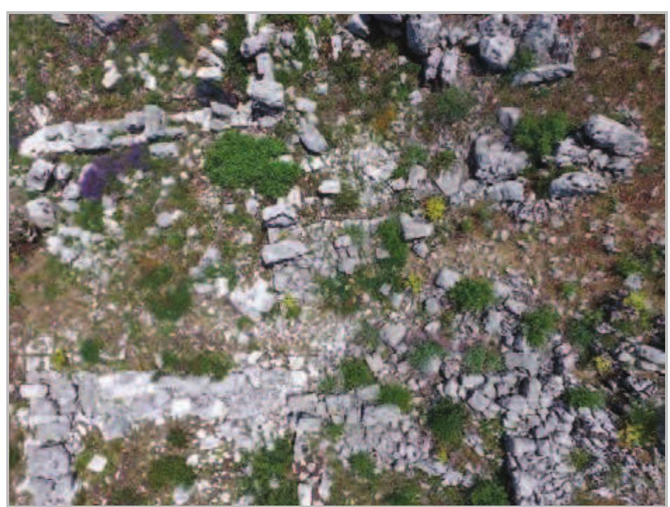 Fig. 20- Area 2/5: aerial view of entire Area 2 from the north before excavation — Area 2/5 is located in the western half. 