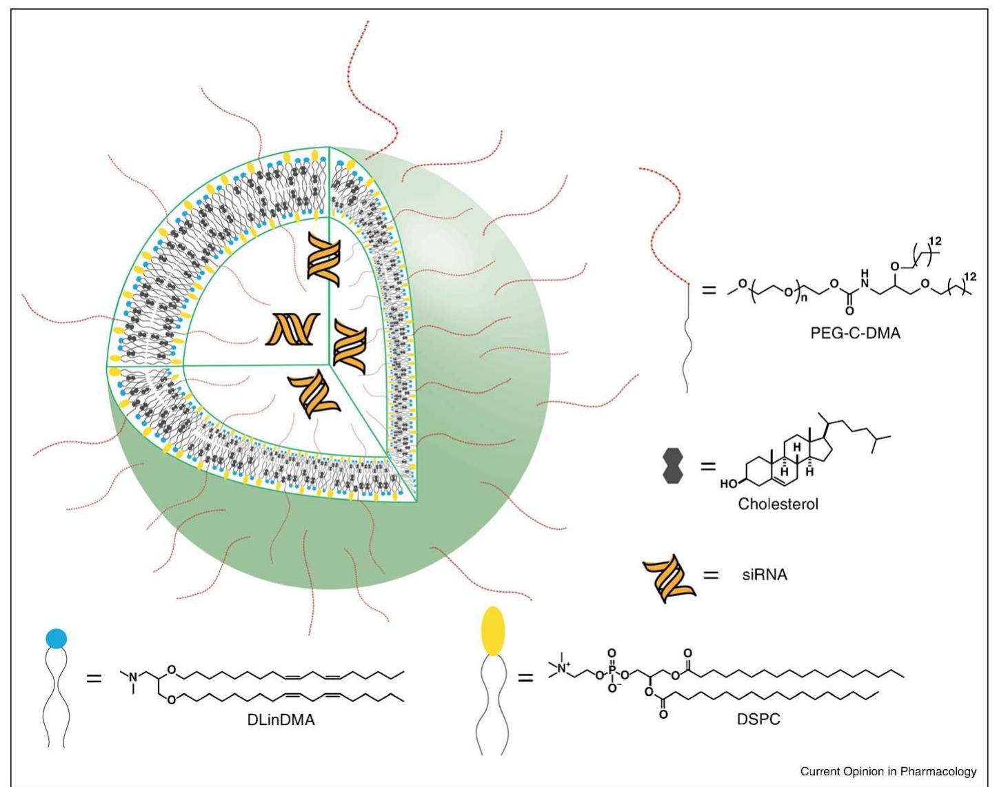Schematic representation of a stable-nucleic-acid-lipid